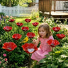 Metal Flower Bird Bath Garden Stake