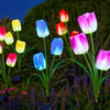 Solar Tulip Stake Lights