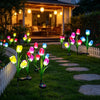 Solar Tulip Stake Lights