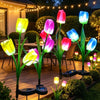 Solar Tulip Stake Lights