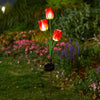 Solar Tulip Stake Lights
