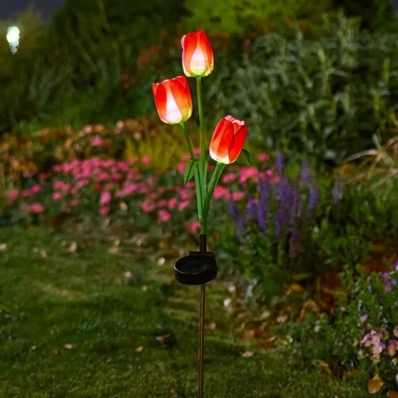 Solar Tulip Stake Lights