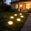 Solar Paw Print Pathway Lights
