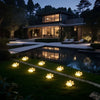 Solar Paw Print Pathway Lights