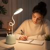 Rechargeable LED Desk Lamp