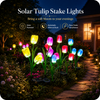 Solar Tulip Stake Lights