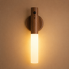 Magnetic Rechargeable Motion Sensor Night Light