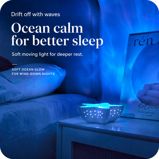 Starfish Lamp